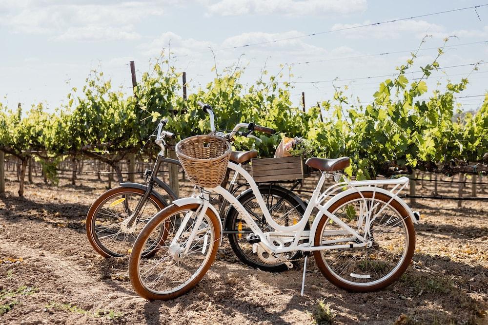 Four Seasons Resort Napa Valley Калистога Экстерьер фото